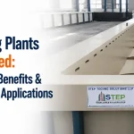 Pickling Plants Explained: Process, Benefits & Industrial Applications